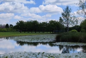 Walk in the Wood with picnic on the turtles lake