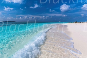 ZURICH: ZURICH VAN/NAAR LUCHTHAVEN MILANO MALPENSA