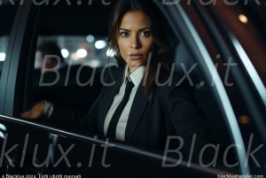 ZURICH: ZURICH VAN/NAAR LUCHTHAVEN MILANO MALPENSA