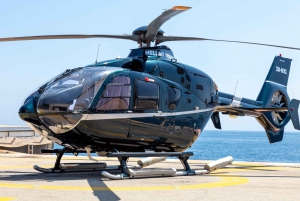 Volo panoramico di 30 minuti da Nizza