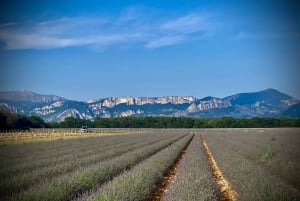 Bespoke Luxury Sightseeing Experiences