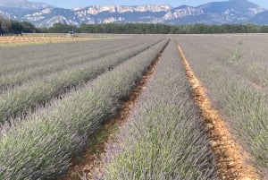 Bespoke Luxury Sightseeing Experiences