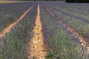 Bespoke Luxury Sightseeing Experiences