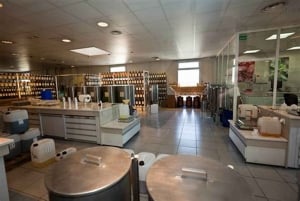 Cannes: Fransk Riviera privat sightseeing landudflugt