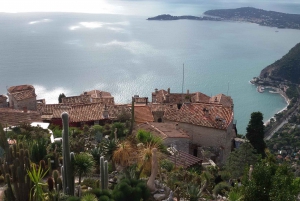 Cannes : Tour guiado de lo más destacado de la Riviera Francesa