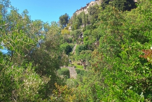 Cannes : Tour guiado de lo más destacado de la Riviera Francesa