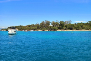 Cannes : Tour guiado de lo más destacado de la Riviera Francesa