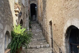 Depuis Cannes une journée Grasse ,Gourdon, St Paul de Vence