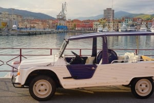 Discover the French Riviera in a Méhari, between Nice and Monaco with a guide.
