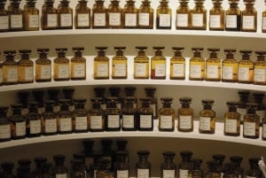 Excursion to Eze and Monaco: Half Day Shared Tour 5h