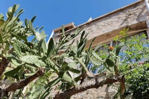 Èze: Byvandring med en certificeret lokal guide