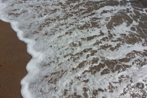 De Cannes: Excursão de 8 horas à costa da Riviera Francesa