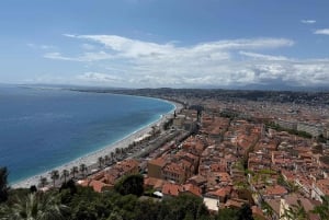 Private tour to Monaco & Eze from Cannes, Nice, Antibes