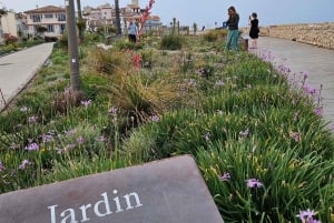 Private tour to Monaco & Eze from Cannes, Nice, Antibes