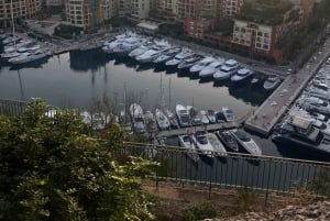 Private tour to Monaco & Eze from Cannes, Nice, Antibes