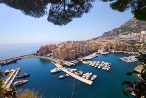Vanuit Nice & Antibes: Monaco & Eze Tour met ophaalservice vanaf je hotel