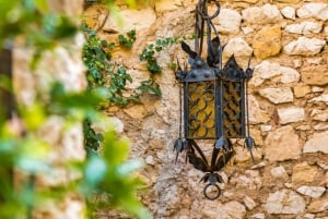 From Nice: Eze, Monaco and Monte Carlo Half Day Tour