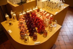 Vanuit Nice: Excursie van een halve dag naar Eze, Monaco en Monte-Carlo