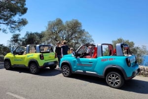 From Nice: Monaco & Eze Guided Tour in Electric Convertible