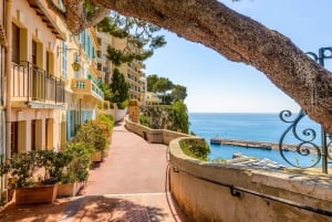 Fra Nice: Monaco, fyrstens bilsamling og palass