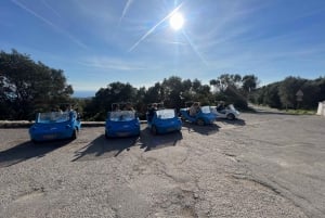 Da Nizza: Tour privato della Costa Azzurra in auto scoperta