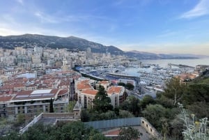 From Nice: Private Monaco and Coastline Highlights Car Tour