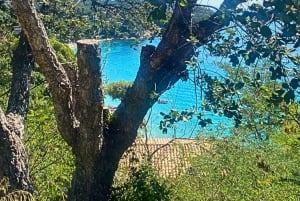 ヴィアレッジョからバルセロナまで：地中海自転車冒険ツアー