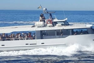 Monaco: Bådkrydstogt med hvalobservation