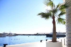 E-Bike-Tour durch Monaco
