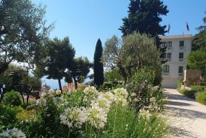 Monaco: Guidet tur med Oceanografisk Museum og Prinsens biler