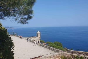 Monaco: Guidet tur med Oceanografisk Museum og Prinsens biler