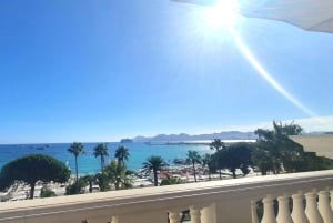 Monaco: Guidet tur med Oceanografisk Museum og Prinsens biler