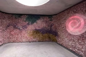 Majesteit van Monaco: privétour op maat vanuit Nice