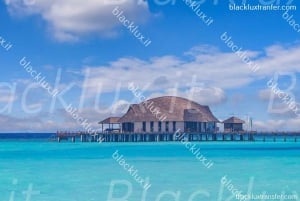 MONTECARLO: TRASLADO DO AEROPORTO DE MALPENSA PARA MONTECARLO