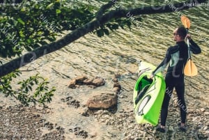 MONTECARLO: TRASLADO DO AEROPORTO DE MALPENSA PARA MONTECARLO