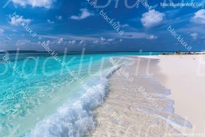 MONTECARLO: TRASLADO DO AEROPORTO DE MALPENSA PARA MONTECARLO