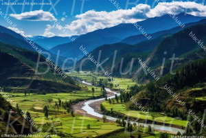 MONTECARLO : TRANSFERT DE L'AÉROPORT MALPENSA À MONTECARLO