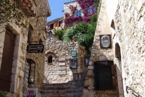Niza/Cannes: Mónaco, Monte-Carlo y Eze Village Tour Privado