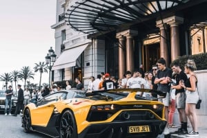 Fra Nice; Monaco og Eze Sightseeing Privat Halvdagsutflukt