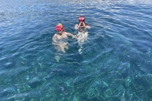 Nice: Hemmelig Riviera-bådtur til Mala-grotten med snorkling
