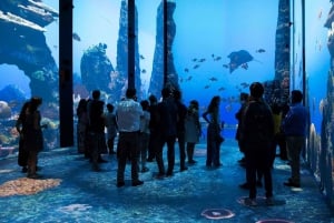 Billets pour le Musée océanographique de Monaco