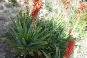 Private Côte d'Azur shore Excursions From Ville Franche