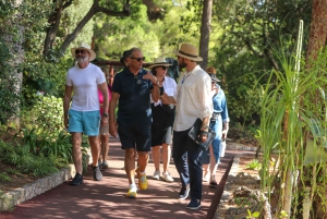 Tour privado de día completo: Eze, Mónaco y Montecarlo