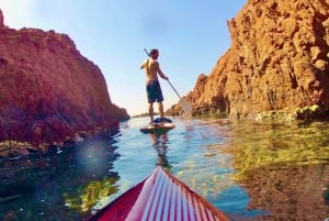 Stand-Up Paddle og snorkling med lokal guide nær Nice