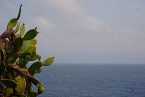Tour in een vintage Méhari tussen Nice, Eze en Monaco aan de Côte d'Azur
