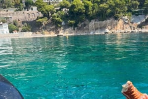 Unforgettable Boat Excursion