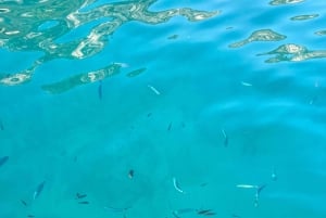 Unforgettable Boat Excursion