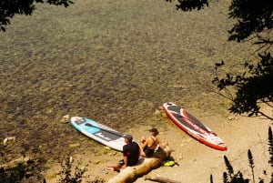 Tour in een vintage Méhari tussen Nice, Eze en Monaco aan de Côte d'Azur