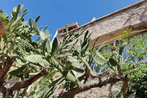 Èze: Byvandring med en certificeret lokal guide