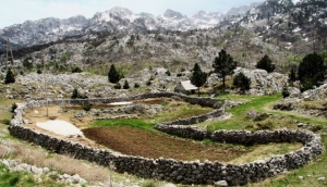 7 Tips For Day Trips in Central Montenegro